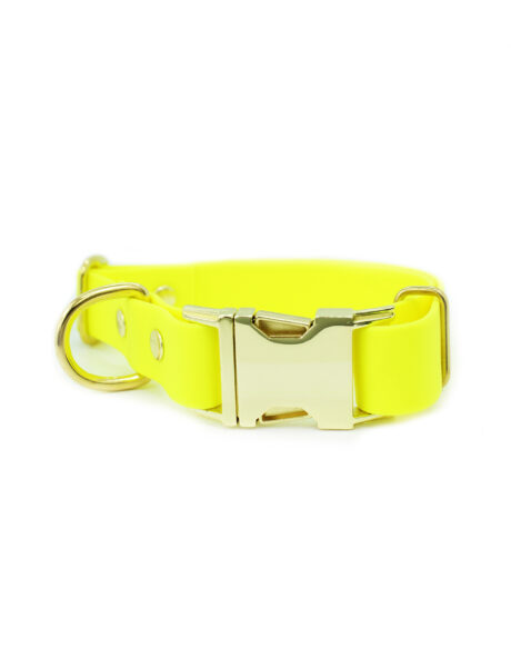 neon-summer-click-obojok-gold-1